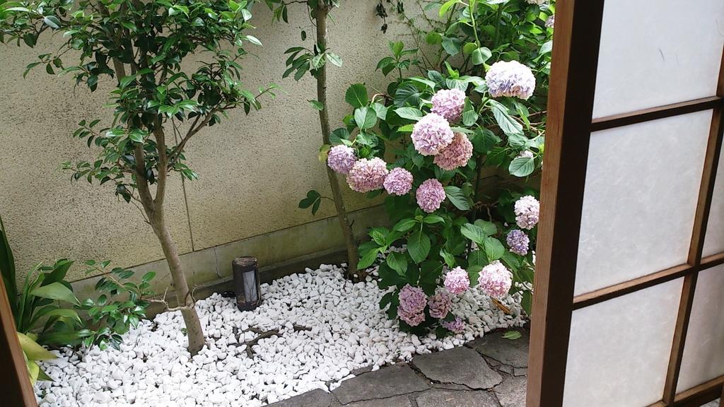 Thank You So Muchya Eikando Kyoto Luaran gambar