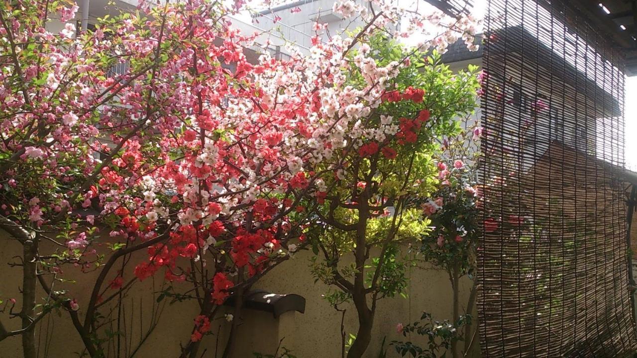Thank You So Muchya Eikando Kyoto Luaran gambar